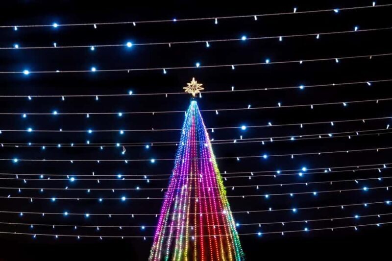 Yuletide in Mérida: A Private Tour Through Holiday Splendor - Final Thoughts