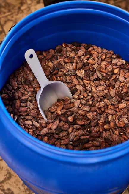 Zaandijk-Near Zaanse Schans Chocolate making demo & tasting - What to Expect on Your Chocolate Journey