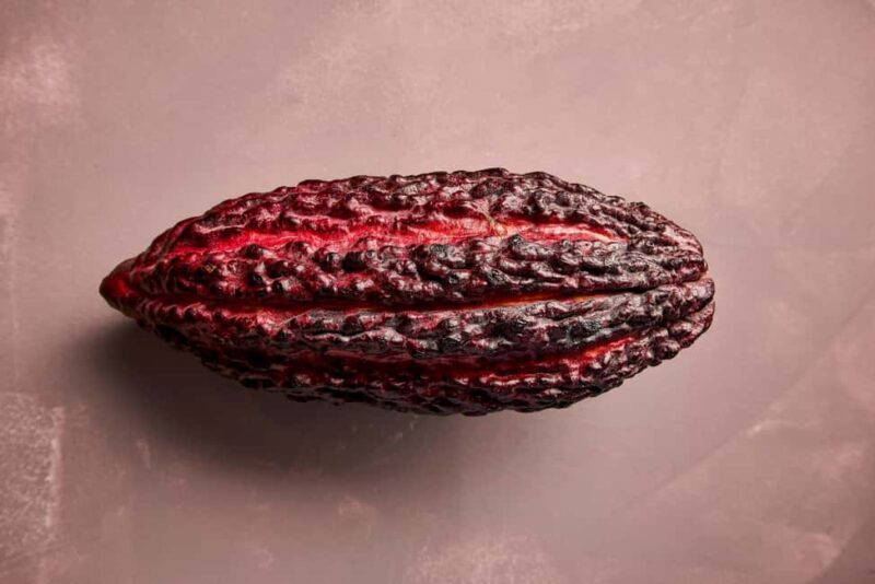 Zaandijk-Near Zaanse Schans Chocolate making demo & tasting - Accessibility & Practicalities