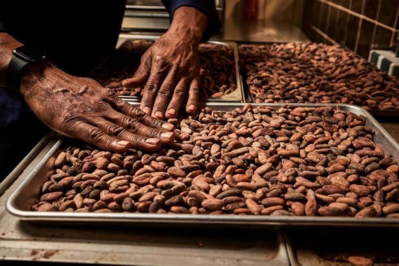 Zaandijk-Near Zaanse Schans Chocolate making demo & tasting - Who Will Love This Tour?