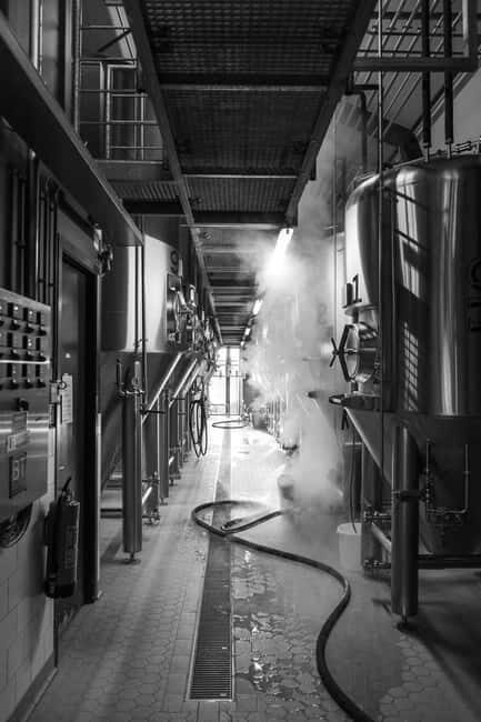 Zaanse Schans: Beer Tasting Experience at Brewery HOOP - Zaanse Schans: Beer Tasting Experience at Brewery HOOP — A Friendly Guide