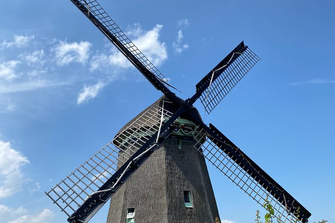 Escape Amsterdam: E-Bike to Zaanse Schans Windmills & Zaandam - The Physical Reality: Who Should Actually Book This