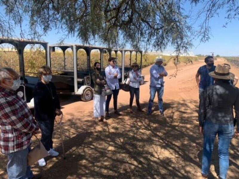 Zacatecas: Campo Real Vinícola Tour - Key Points