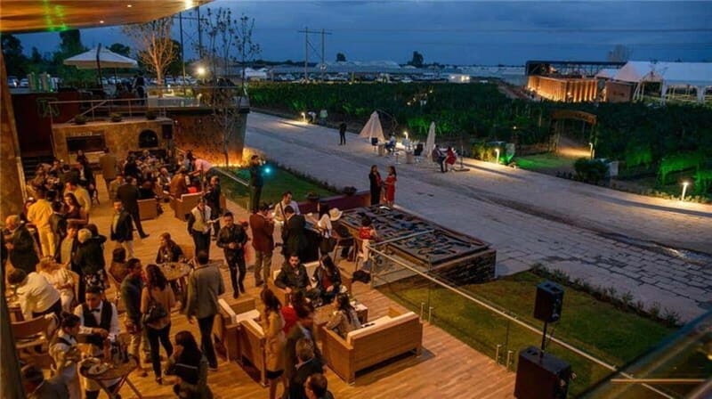 Zacatecas: Campo Real Vinícola Tour - What Could Be Better?