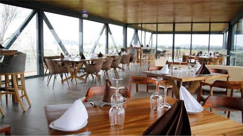 Zacatecas: Campo Real Vinícola Tour - Who Is This Tour Best For?