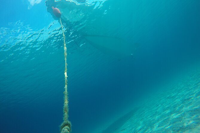 Zadar 3-Islands Tour: Snorkeling, Beach & Sightseeing - 4,5hr - Decision-Making: Who Is This Tour Best For?