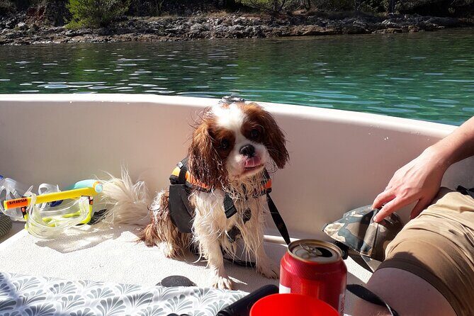 Zadar Boat Tour Half Day - Who Should Book This?