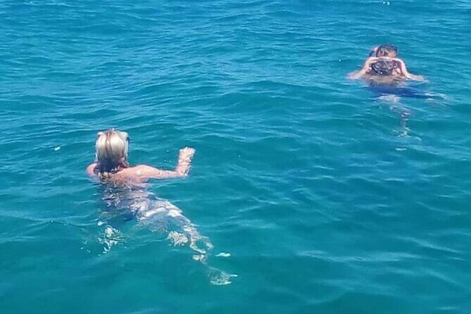 Zadar Boat Tour to the Nearby Islands - What the Reviews Say