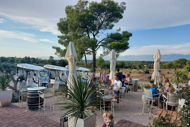 Zadar: City and Wine Tour in Zadar with Eco Tuk Tuk - What Travelers Say