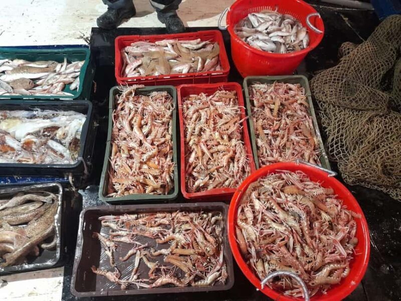 Zadar: Fishing Boat Trip with Lunch and Swimming Included - Key Points