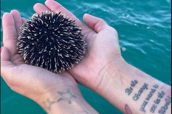 Zadar Half Day boat tour Wine on the Waves - What to Expect from the Itinerary