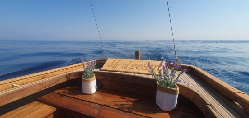 Zadar highlights - Zadar discovery Short tour - The highlights of the experience