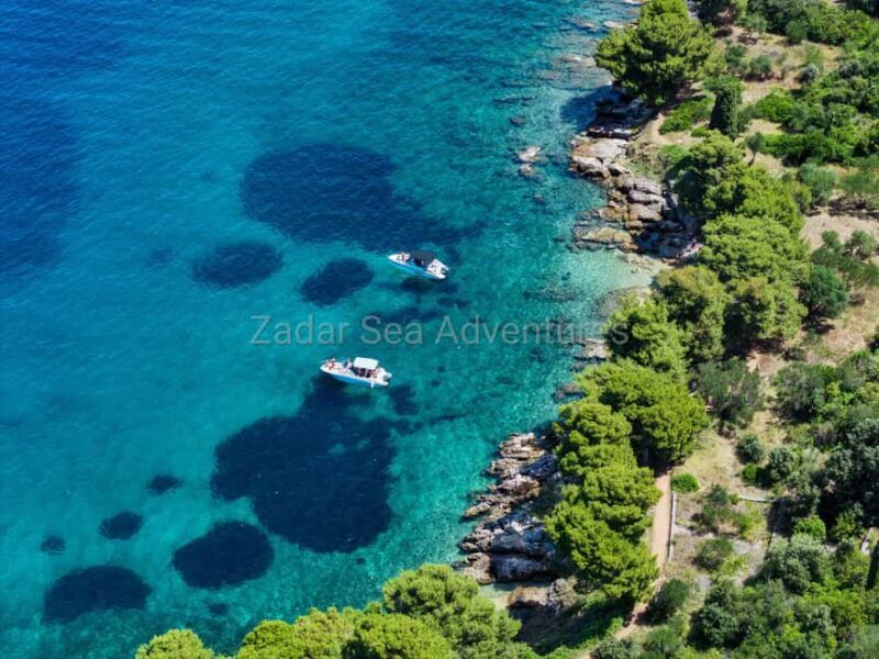 Zadar: Island Hopping Tour Swim and Snorkel with Drinks - The Experience Breakdown: What to Expect