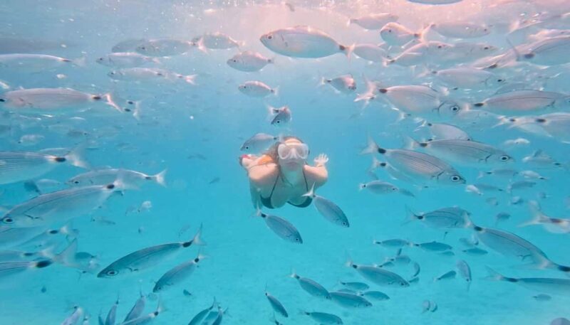 Zadar: Island Luxury Speedboat Tour with Snorkeling - The Experience from Travelers’ Perspectives