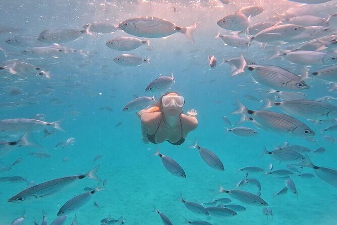 Zadar: Island Luxury Speedboat Tour with Snorkeling - Key Points