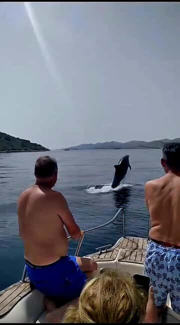 Zadar: Islands & Lagoons Tour with Drinks and ECO fruits... - What to Expect on the Zadar Islands & Lagoons Tour