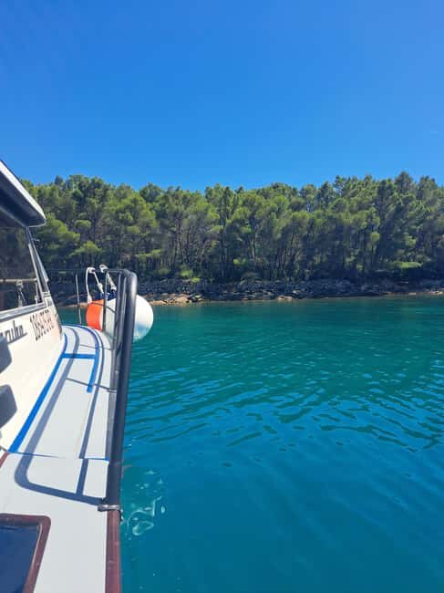 Zadar: Private Tour to Ugljan, Osljak and Galevac - half day - The Review Insights
