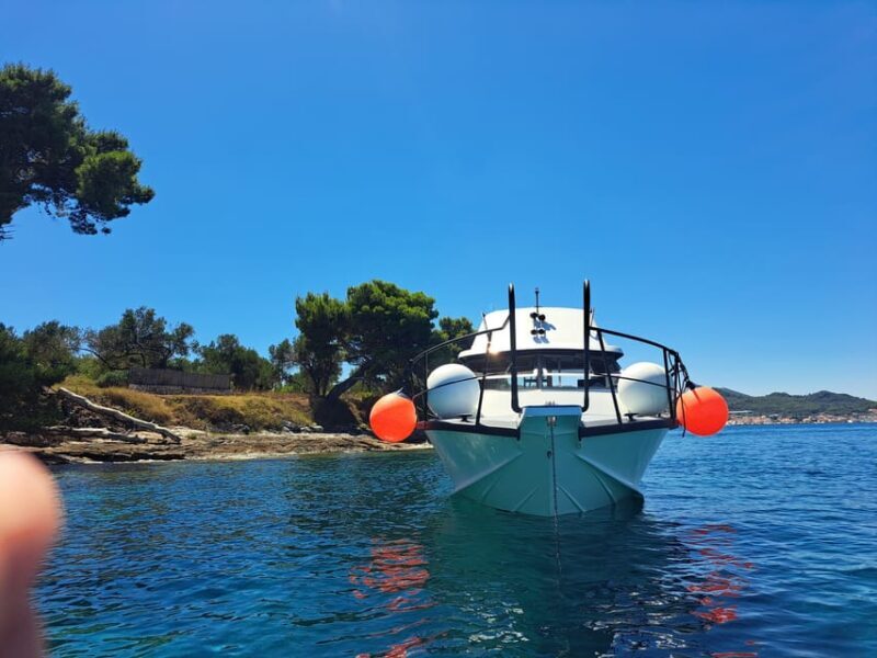 Zadar: Private Tour to Ugljan, Osljak and Galevac - half day - Is It Worth It?