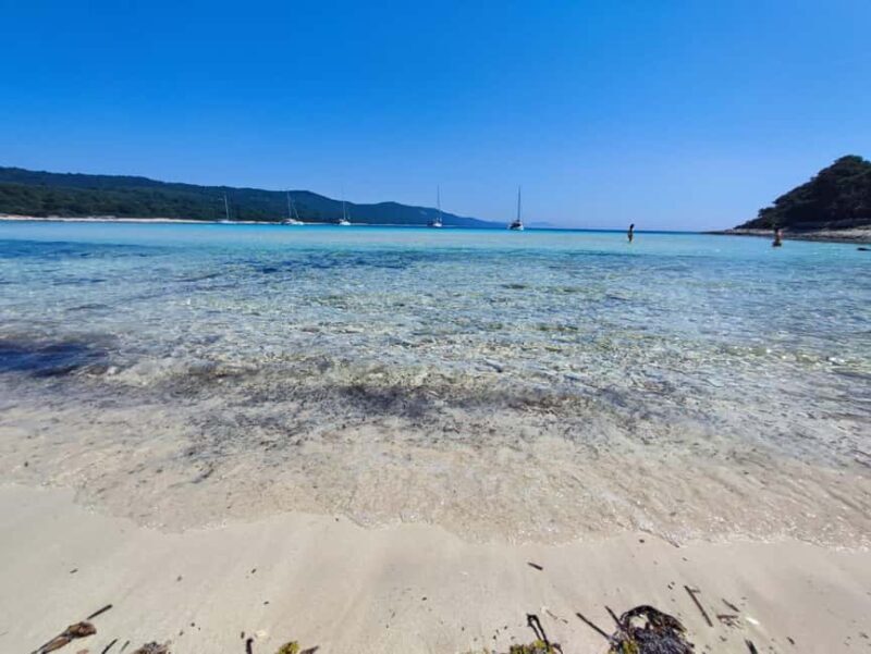 Zadar: Sakarun Bay, Golubinka Cave & Veli al Speedboat Tour - Key Points