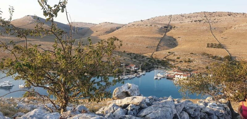 Zadar: Scenery, Oil, Wine, Food, History. Croatia in a day - Who Would Love This Tour?