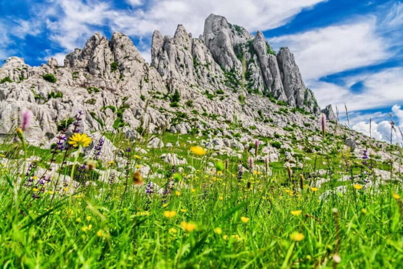 Zadar: Scenic trip to mountains, caves and rivers - Who Should Consider This Tour?