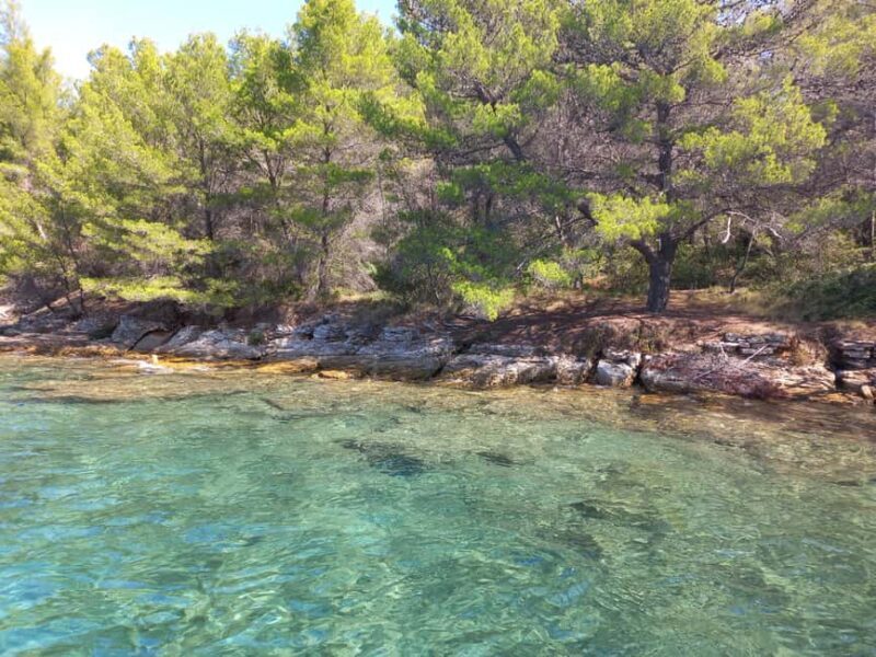 Zadar: Sea, Sun, and Wind Half-Day Sailing Adventure - Itinerary Breakdown and Highlights