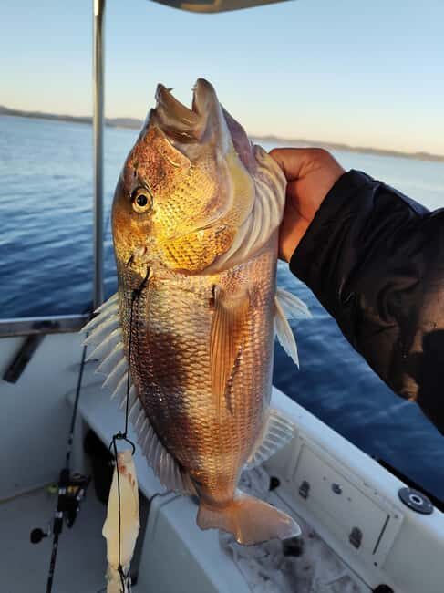 Zadar: Sunset Fishing Half-Day Guided Boat Trip - Final Thoughts