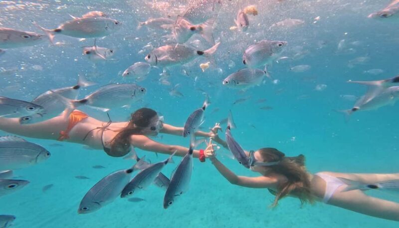 Zadar: Ultimate Island Adrenaline Boat Ride - Zadar: Ultimate Island Adrenaline Boat Ride — A Practical Deep Dive