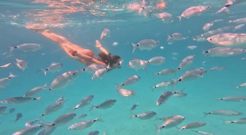 Zadar: Ultimate Island Adrenaline Boat Ride - How the Tour Unfolds