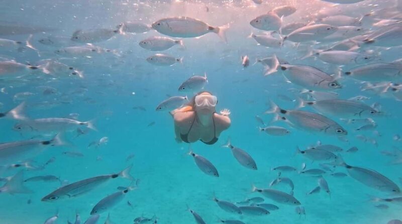 Zadar: Ultimate Island Adrenaline Boat Ride - What You Need to Know Before Booking