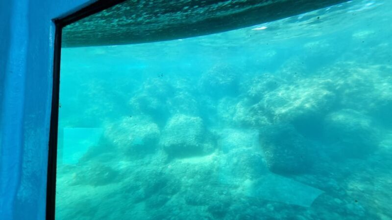 Zadar: Yellow Semi-Submarine Underwater Exploration Tour - The Experience: Marine Life, City Views, and Good Company