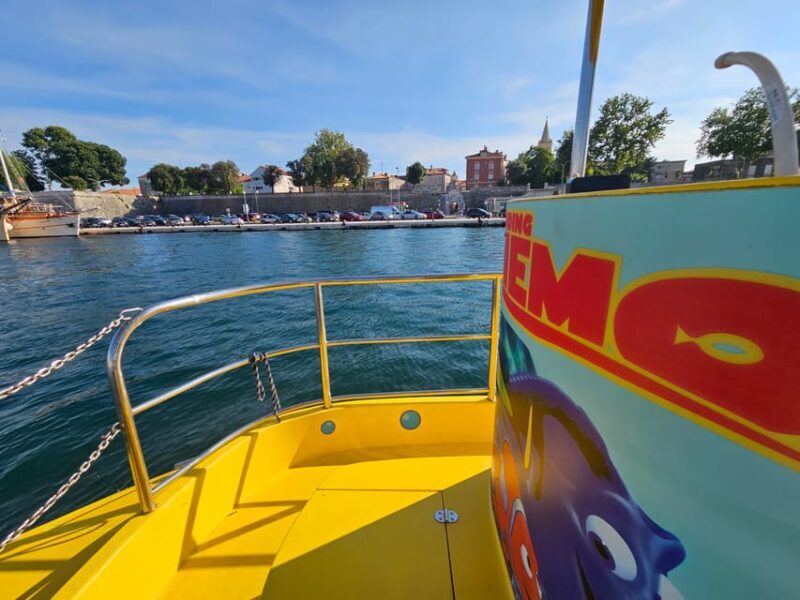 Zadar: Yellow Semi-Submarine Underwater Exploration Tour - Who Should Book This Tour?