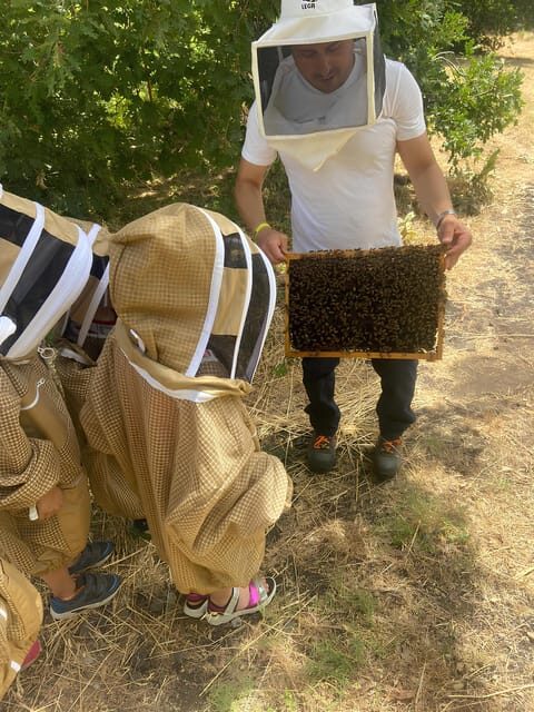 Zafferana Etnea:Honey extraction workshop and honey tasting - FAQs