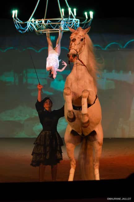 Zagal Cabaret - A one-of-a-kind equestrian show - Final Thoughts: Is Zagal Cabaret for You?