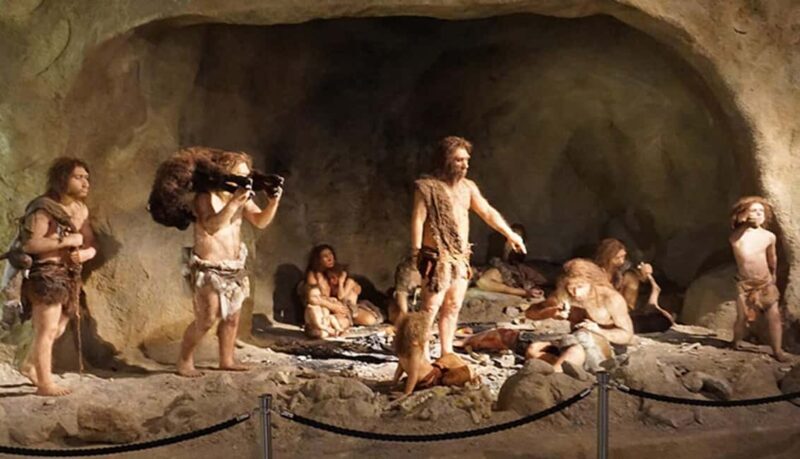 Zagreb: Krapina Neanderthal Museum & Trakoan Castle Tour - A Look at the Experience