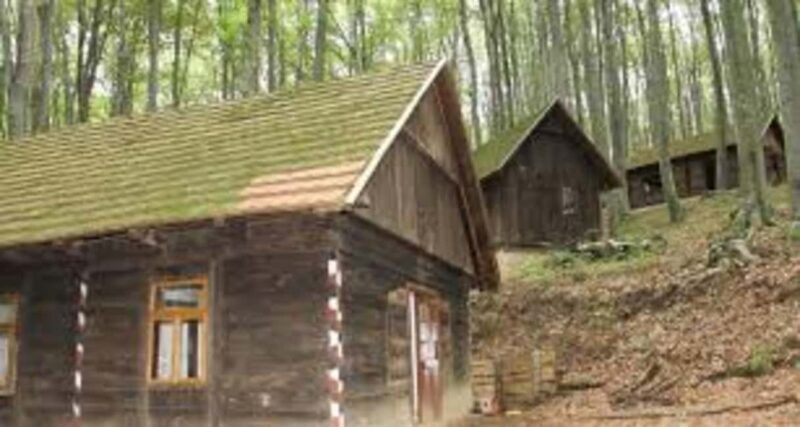 Zagreb: Plitvice Lakes, War History, and Wildlife Tour - Key Points