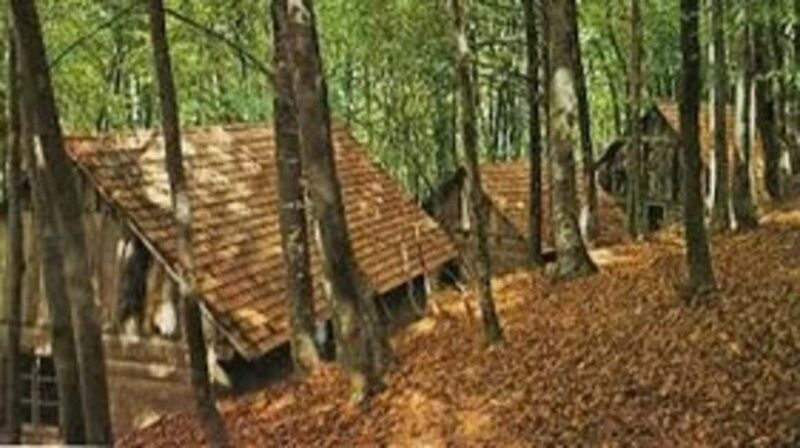 Zagreb: Plitvice Lakes, War History, and Wildlife Tour - The Experience from Reviews