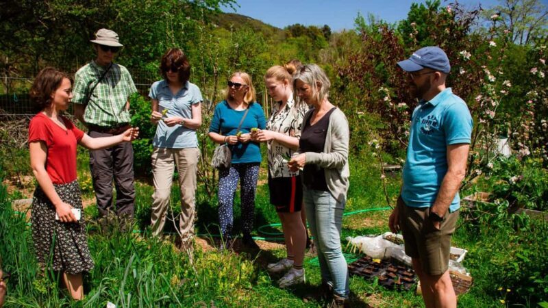 Zagreb: Science Tours - Early Bird - A Closer Look at the Experience