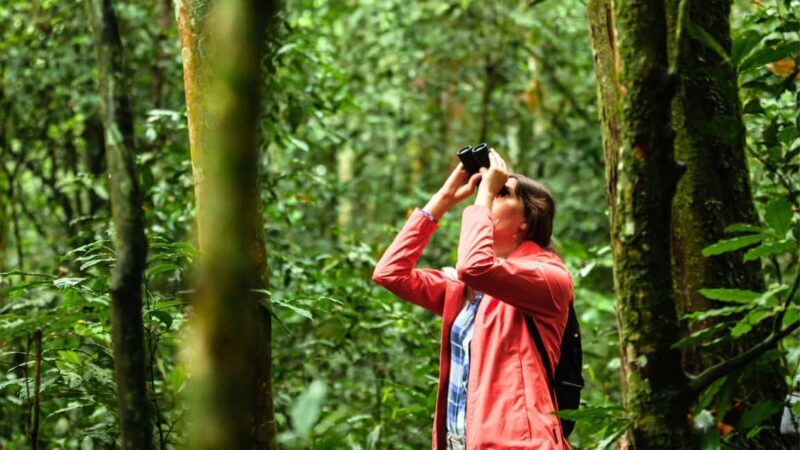 Zagreb: Science Tours, Zagreat Outdoors - A Closer Look at What to Expect