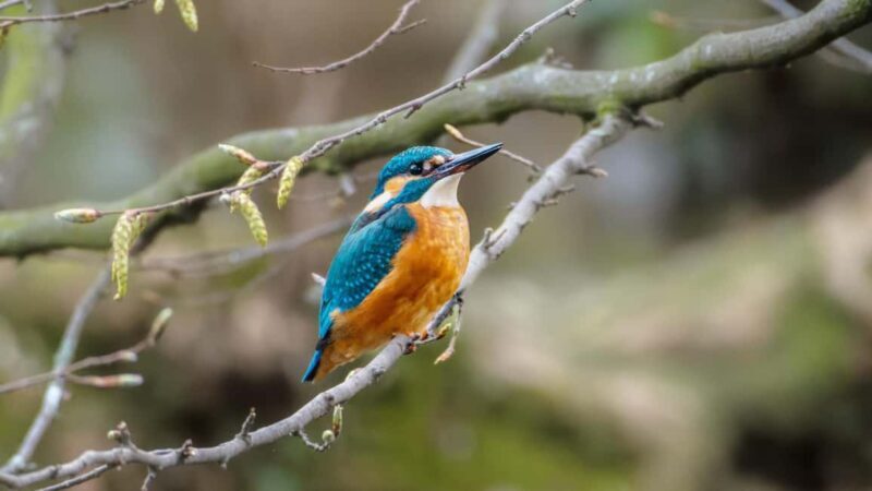 Zagreb: Science Tours, Zagreat Outdoors - Final Thoughts