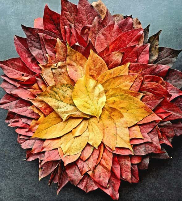 Zagreb through plants: an urban and botanical walk - A Gentle Introduction to Zagrebs Hidden Green Corners