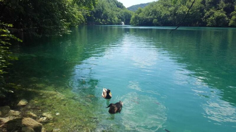 Zagreb to Split: Private Transfer with Plitvice Lakes - FAQ