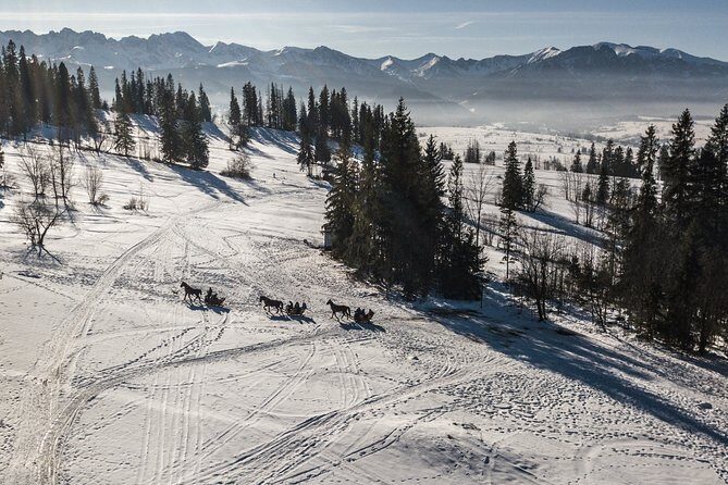 Zakopane and Horse Sleigh Ride in the countryside, private tour from Krakow - Discovering Zakopane and the Tatra Mountains: What the Tour Offers