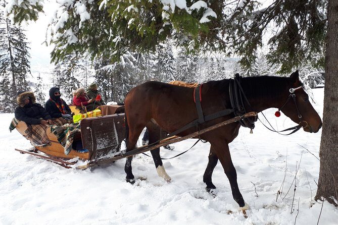 Zakopane and Horse Sleigh Ride in the countryside, private tour from Krakow - FAQs
