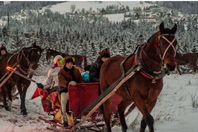 Zakopane Sleigh Ride in Tatra Mountains - What Is the Zakopane Sleigh Ride in Tatra Mountains?