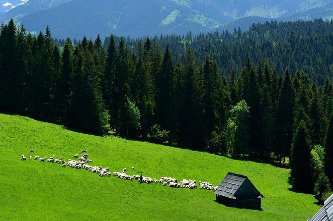 Zakopane Tour from Krakow  Highland Experience & Stunning Views - FAQs