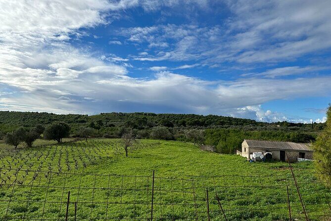 Zakynthos 4x4 Sunset Escape - Key Points