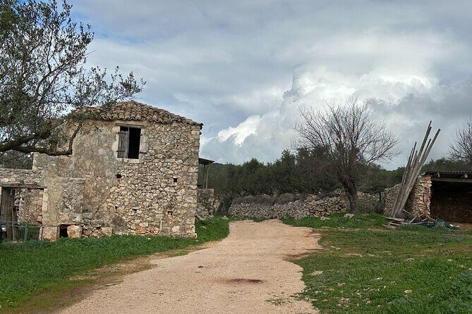 Zakynthos 4x4 Sunset Escape - Final Thoughts