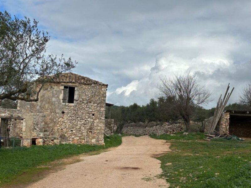 Zakynthos 4x4 Sunset Safari - What the Tour Entails: A Detailed Breakdown