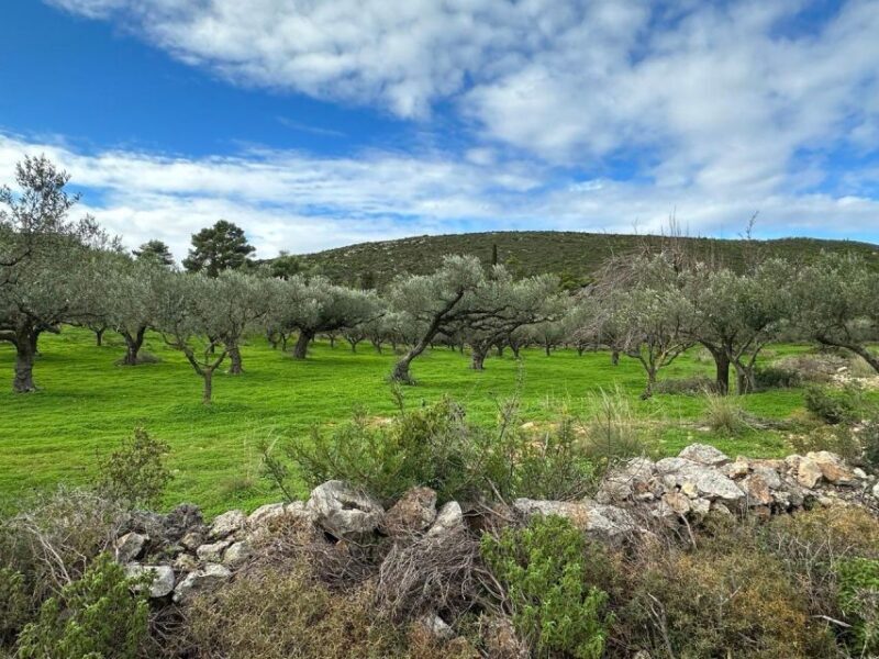 Zakynthos 4x4 Sunset Safari - How This Tour Compares